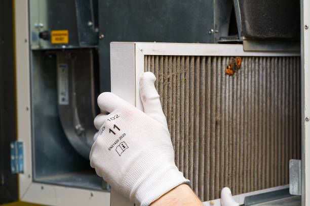 Best Professional Duct Cleaning Services  in Timberline Fernwood, AZ